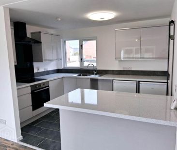 97 Hawthorn Way, Ballyclare, BT39 9EN - Photo 2