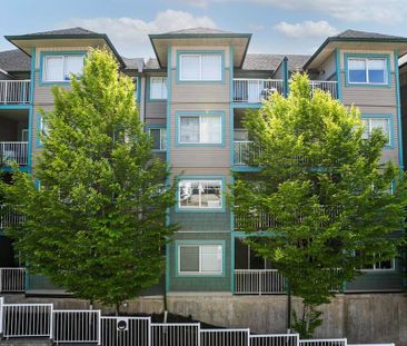 1 Bedroom at Old Yale Heights! - Photo 2