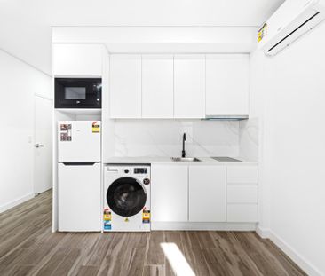 45 Cornelia Street, Wiley Park NSW 2195 - Studio For Rent | Domain - Photo 4