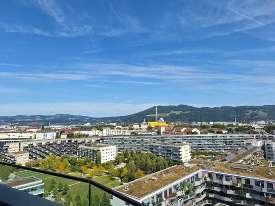 Wohnen mit einzigartigem Blick auf Linz! - Photo 1