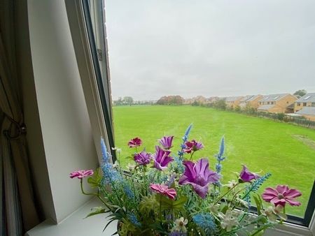 Wodell Drive - Photo 2