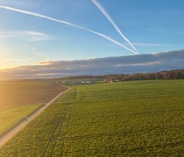 Mietwohnung - Photo 2