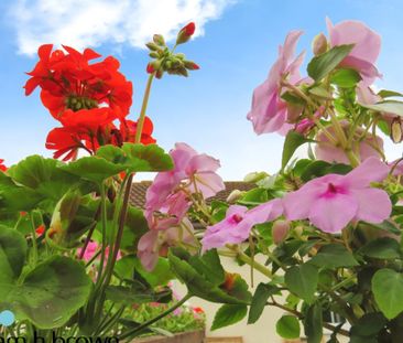 The Street - Photo 3