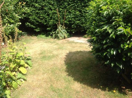 2 bedroom semi-detached house to rent - Photo 5