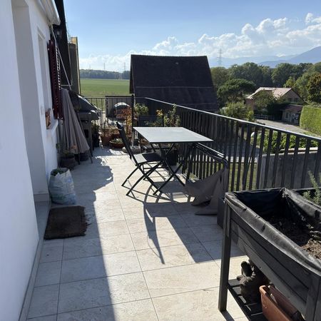 2.5 Zimmer, EG - Photo 3