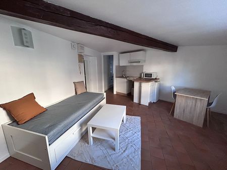 Location Appartement 1 pièce 20m² - Photo 4