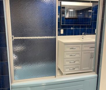 For Lease - 45 Lapp Street Unit# Lower, Toronto, Ontario - Photo 6