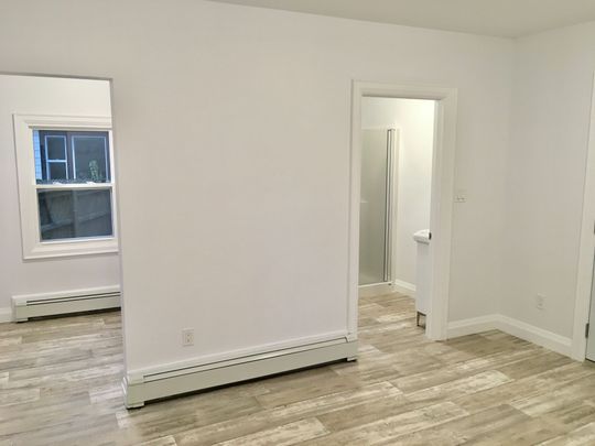 For Lease - 163 Welland Avenue Unit# Rear Unit, St. Catharines, Ontario - Photo 1