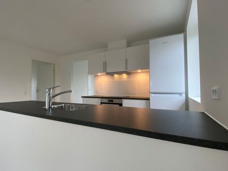 Rødtungen 52 - Photo 4