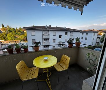 3 ½ Zimmer-Wohnung in Luzern - Foto 5