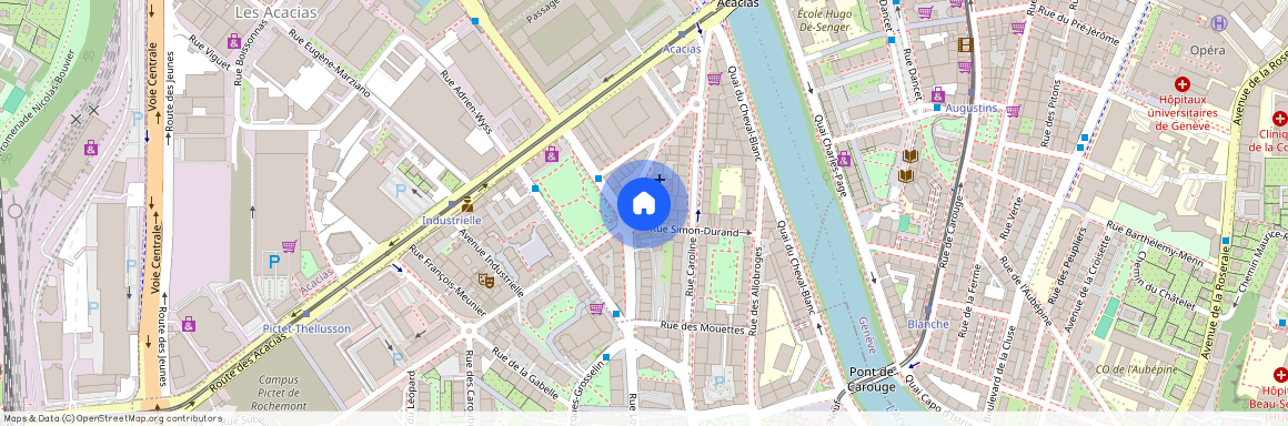 Rue Du Grand-Bureau 19, 1227 Acacias