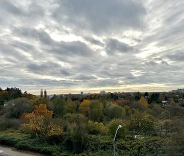 PARK OSTROWSKA widok na panoramę miasta! WYNAJEM - Photo 5