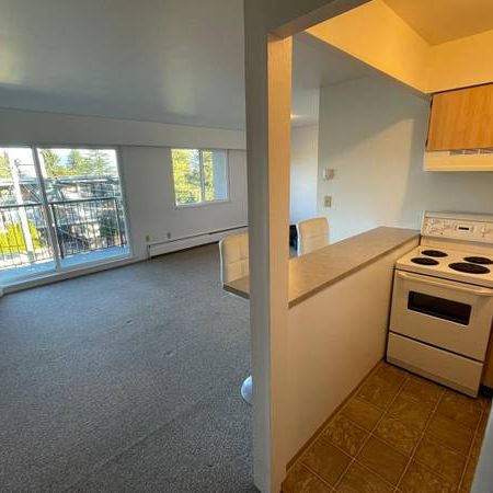 Metrotown | Bright, Upper Floor Bachelor with Patio - Photo 1