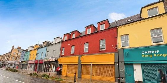 Tudor Street, Cardiff, CF11 - Photo 3