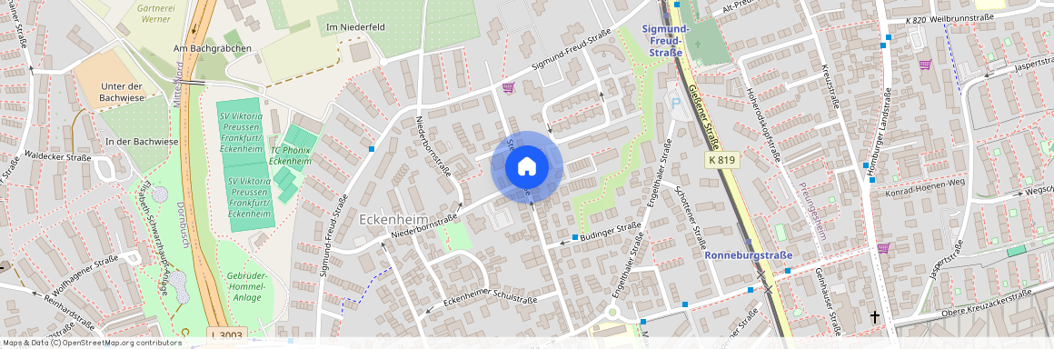 Steinkleestraße 42, 60435 Frankfurt am Main - Eckenheim