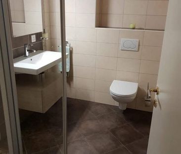 4,5p plein sud Saxon avec jardin privatif et terrasse de 130 m2 - Foto 6