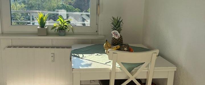 3 Zimmer direkt an d. Grenze Basel - Foto 1