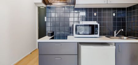 Studio Apartment - Photo 3