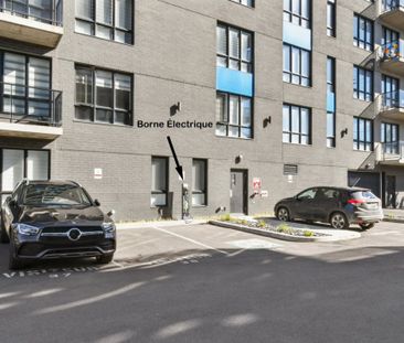 5830 Rue Jarry E., app.503, H1P 0A7, H1P 0A7, Montréal - Photo 1