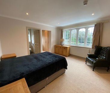 3 bedroom detached bungalow to rent - Photo 3