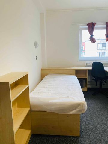 Single Wheelchair Accessible Ensuite - Photo 3