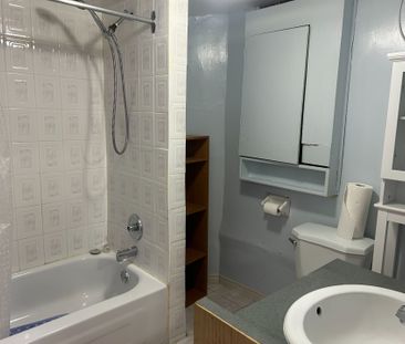 For Lease - 141 Risebrough Circuit Unit# Bsmt, Markham, Ontario - Photo 4