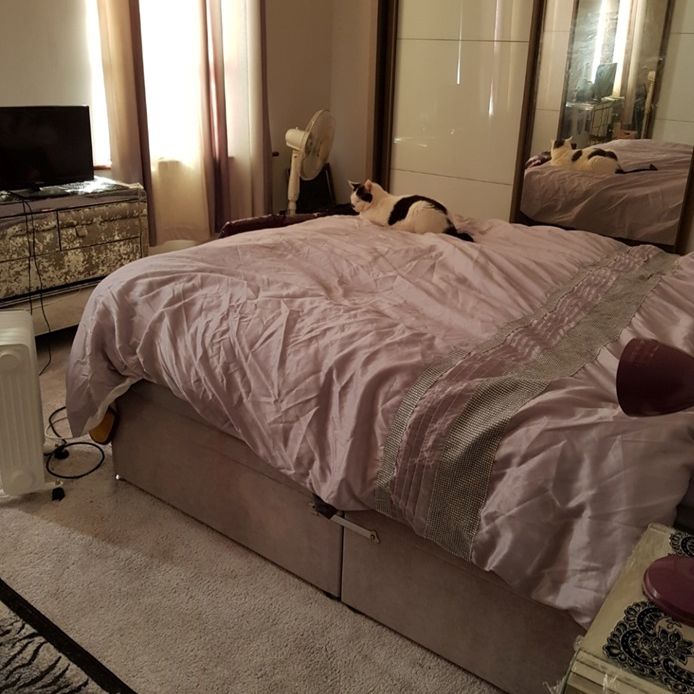 Room in a Shared House, Park Ridings, N8 - Photo 1