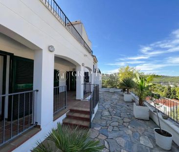 Olivella - Photo 1