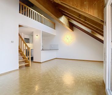 Beautiful duplex in the attic - Photo 2