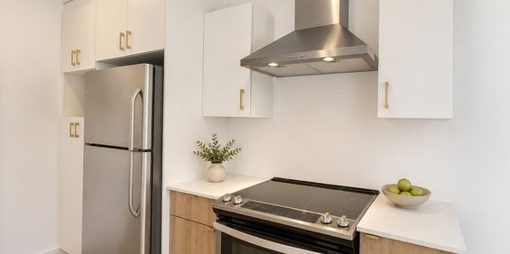 Grand 4 1/2 Moderne -992 Rue Lamarche - Photo 3