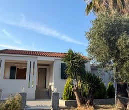 Μονοκατοικία για ενοικίαση - Χαλκίδα, - Photo 6