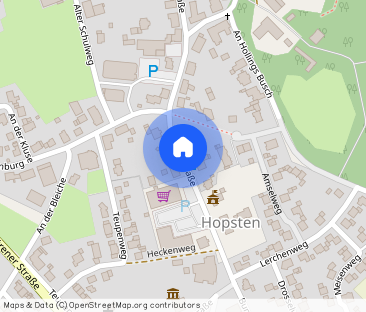 3-Zimmer Dachgeschoss-Neubauwohnung in Hopsten - Photo 1