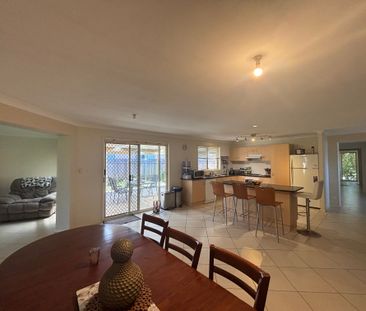 Elegant Eucalyptus - Photo 1