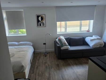 Studio Flat, Memorial Hall, SW16 - Photo 3
