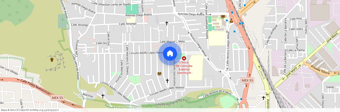 Calle Doctor Manuel Villada, Toluca, Estado de México, 50020, México
