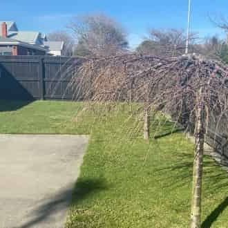 Renovated Villa - Photo 4