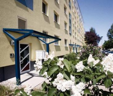 Wohnungsangebot Werner-Seelenbinder-Straße 6 - Photo 1