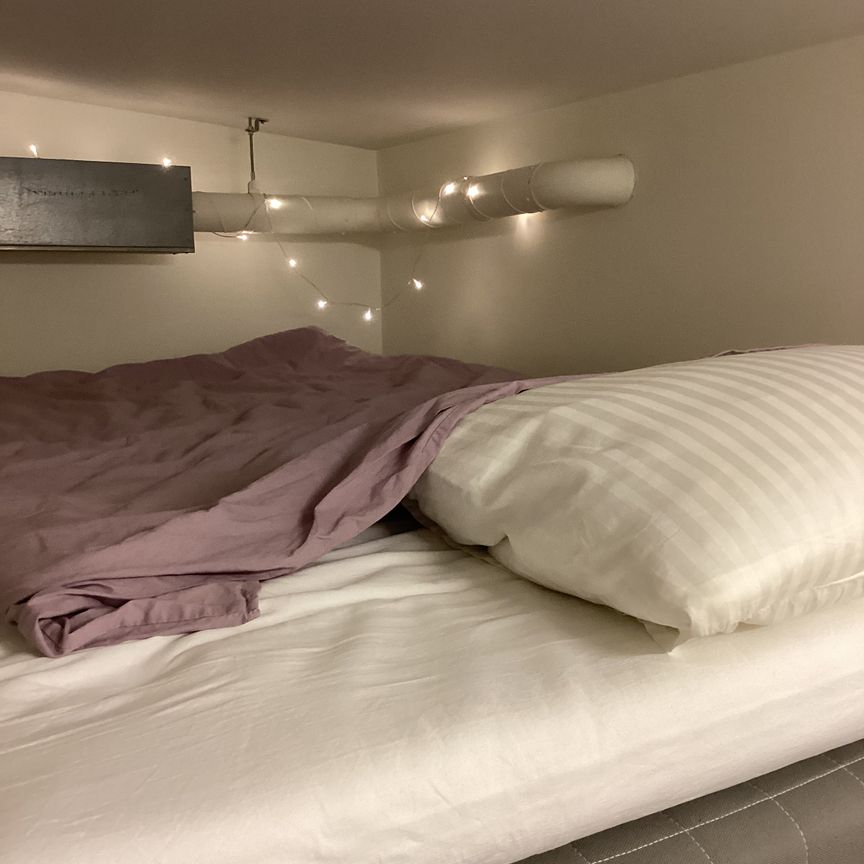 Skomakargatan, Uppsala - Photo 1