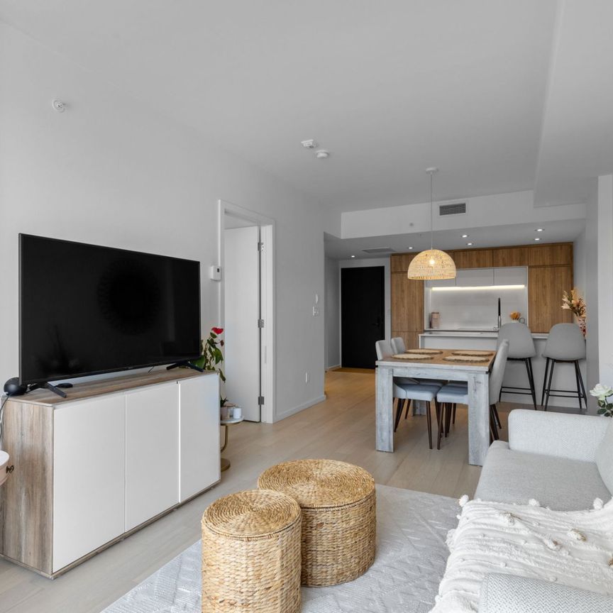 Condo for rent, Montréal (Le Sud-Ouest) - Photo 1