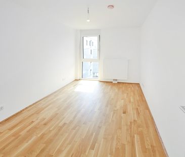 DER BALLON - ANKOMMEN UND ABHEBEN - NATURNAHES WOHNEN NAHE DER SEES... - Photo 3