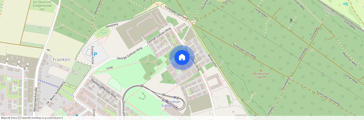 George-Sullivan-Ring 32, 68309, Mannheim