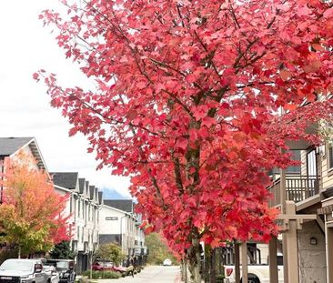 Townhouse at "Eaglewind" Squamish (ID:SQ011) | DMPM.CA - Photo 4