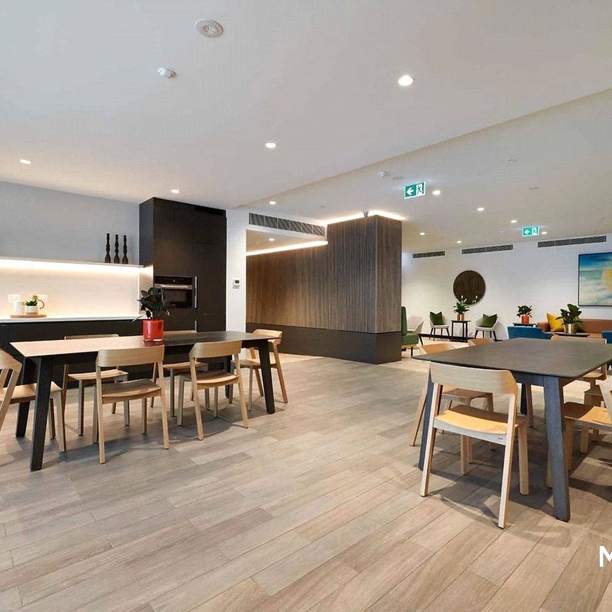 3209/81 City Road - Photo 1