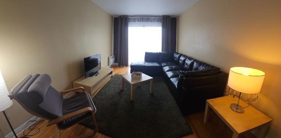 Grand 4 1/2 @ louer - face métro Viau / dernier étage - Photo 2