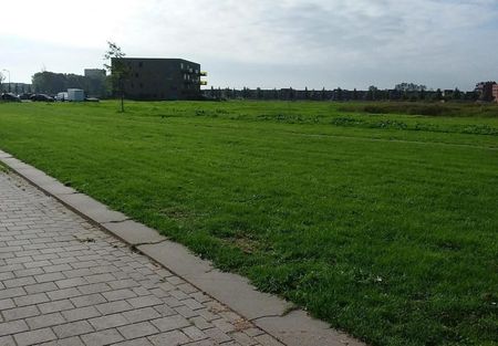 Boomvalk 19 - Photo 2