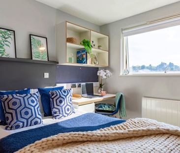 Luxury Studio - Photo 6