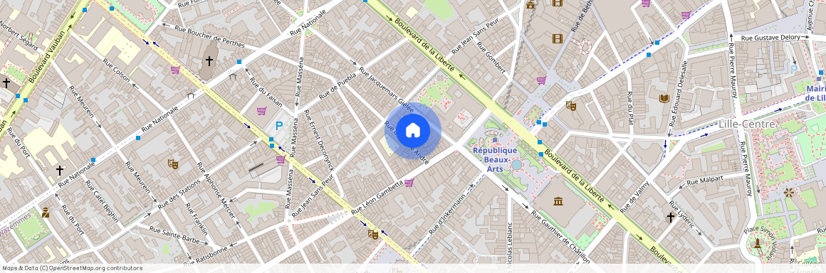 41 rue Maire André, Lille