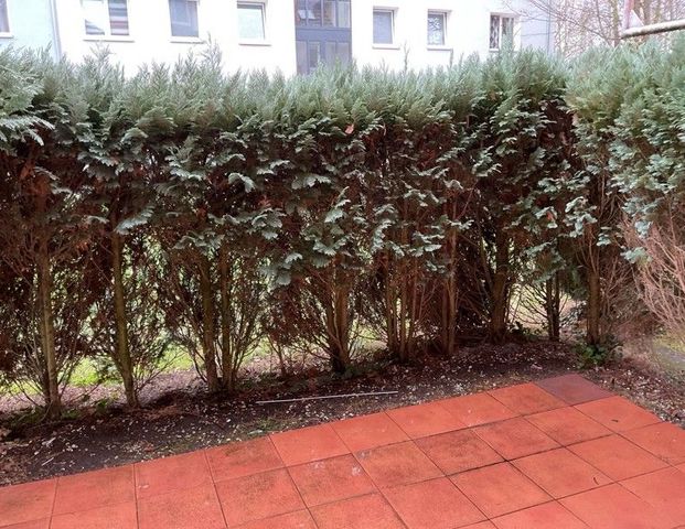 3-Zimmer Wohnung mit bepflanzter Terrasse in Bielefeld-Schildesche - Photo 1