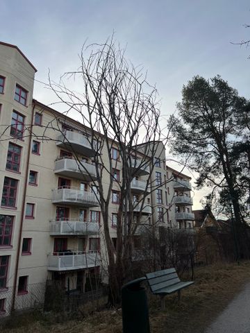 Sandhamnsgatan, Stockholm - Photo 3