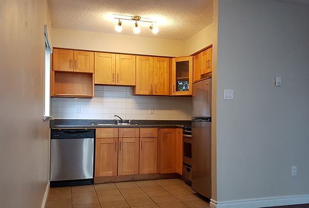 Harbourview Terrace Apartments - Bachelor - Photo 1
